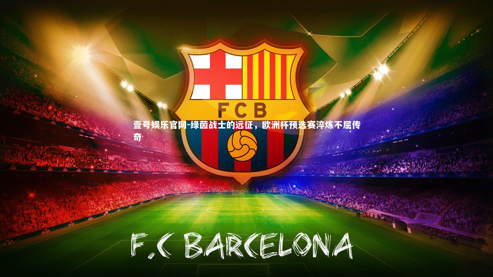 绿茵战士的远征，欧洲杯预选赛淬炼不屈传奇